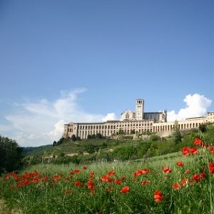 Steden in de buurt Assisi in de lente